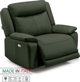 Kožené kreslo CONTINENTAL s elektrickou funkciou relax 1P, elektrické + aku, zelená (green 321)