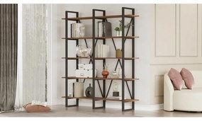 Regálová jednotka Mago Walnut