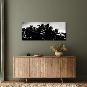 Obraz čiernobiely - palmy (120x50 cm)