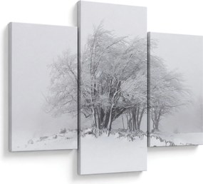 Obraz - Biela zima (90x60 cm)