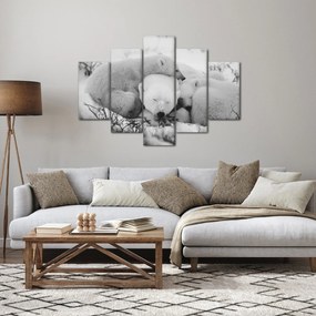 Obraz - Ľadové medvede (150x105 cm)