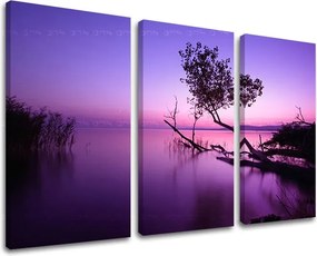 Obraz na stenu 3 dielny ZÁPAD SLNKA ZS006E30