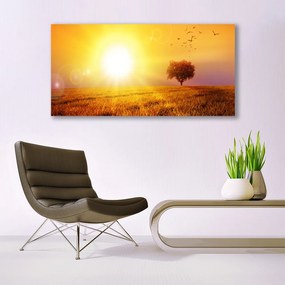 Obraz plexi Západ slnka lúka plátky 120x60 cm