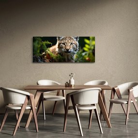 Obraz - Rys (120x50 cm)