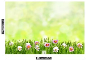 Fototapeta Vliesová Tráva kvety 208x146 cm