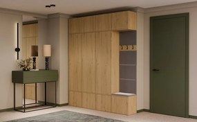 Předsíňová stěna Haga 3Sz1W 200 cm dub Artisan