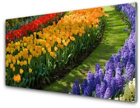 Skleneny obraz Kvety záhrada tulipány 125x50 cm