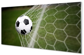 Obraz plexi Futbal 125x50 cm