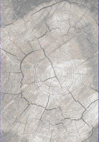 TA Koberec RE41A SVETLO BÉŽOVÁ COMO HBY Rozmer: 80x150 cm