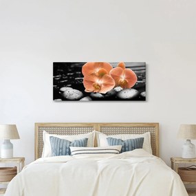 Obraz - Oranžové orchidey (120x50 cm)