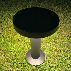 Zuma Line DT33611 - LED Solárna lampa CARLI LED/2W/2000 mAh IP44 čierna