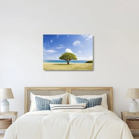 Sklenený obraz pláže so stromom (70x50 cm)