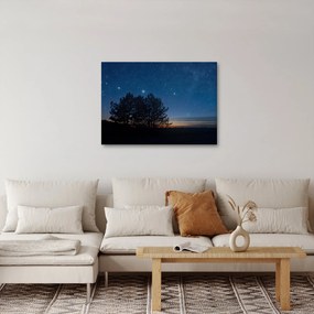 Obraz stromov v noci (70x50 cm)