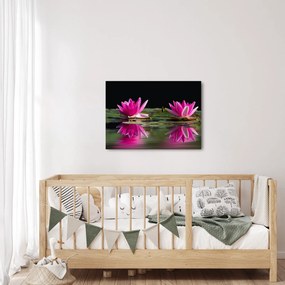 Obraz lekien na vode (70x50 cm)