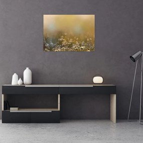 Sklenený obraz - Olejomaľba sedmokrások (70x50 cm)