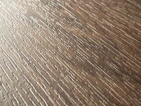 Beaulieu International Group, PVC podlaha - lino Livitex 2624, na mieru, šíře 3m,4m,5m, hnedá, filc, chodba / predsieň