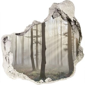 Diera 3D fototapety nálepka Hmla v lese nd-p-98968412