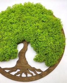 Strom na stenu z machu Gelsey 30 cm