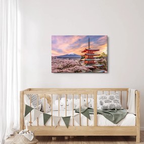 Obraz - Fudži, Japonsko (90x60 cm)