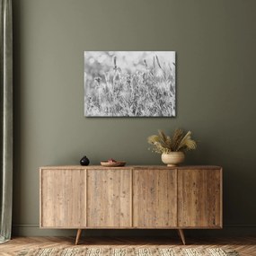 Obraz - Chladná zima (70x50 cm)