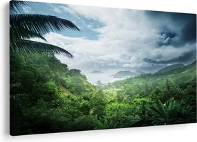Obraz - Seychelská jungle (90x60 cm)