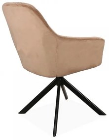 Jídelní židle Astoria II Velvet
