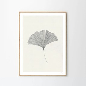 The Poster Club Plagát Ginkgo Leaf by Ana Frois A4 (21x27cm)