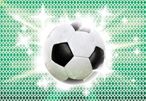 Fototapeta - Futbalová lopta (152,5x104 cm)
