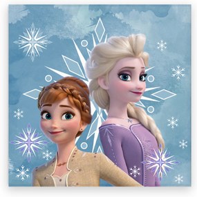 DETSKÝ FROTÉ UTERÁK FROZEN 30X30 CM VZOROVANÝ