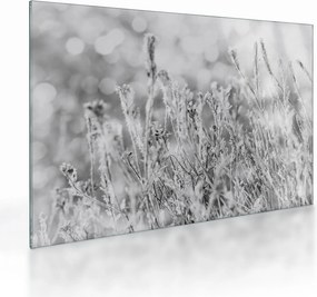 Sklenený obraz - Chladná zima (70x50 cm)