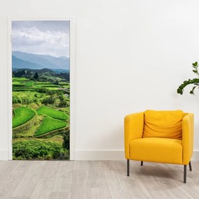 Fototapeta na dvere - Ryžové polia (95x205cm)