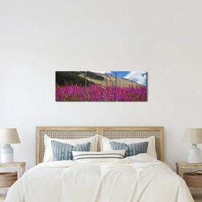 Obraz scenérie horské lúky (s hodinami) (90x30 cm)