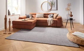 Koberec Hanse Home Cloud svetlosivý