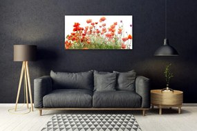 Skleneny obraz Maky rastlina príroda 140x70 cm