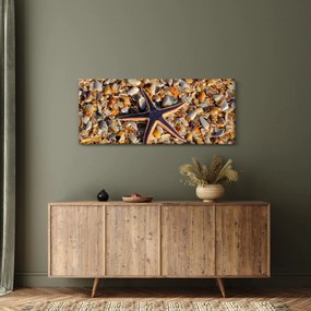 Obraz morskej hviezdice (120x50 cm)