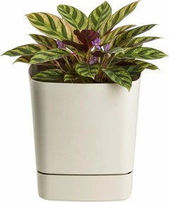 Plastový květináč s podmiskou Cubi 25x25 cm - výber z 5 prevedení