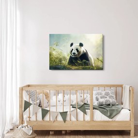 Obraz - Panda (90x60 cm)