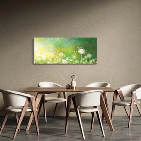 Obraz - Odkvitnuté púpavy (120x50 cm)