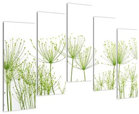Obraz rastlín na bielom pozadí