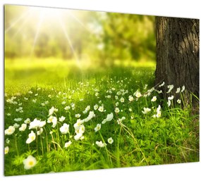 Obraz paseky a kvetín (70x50 cm)
