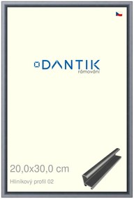 DANTIK rám na obraz 20x30 | ALU Platina matná (Sklo Čiré)
