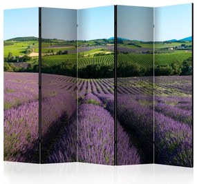 Artgeist Paraván - Lavender fields [Room Dividers]