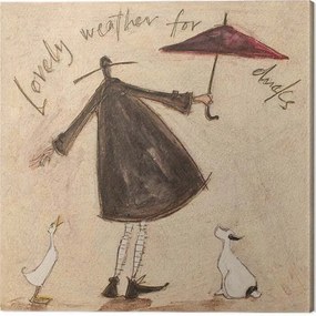 Obraz na plátne Sam Toft - Lovely Weather for Ducks, (30 x 30 cm)