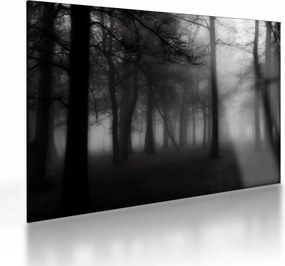 Sklenený obraz - Les v hmle (70x50 cm)