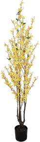 Dekoračný krík so žltými kvetmi zlatou Forsythia - 20*20*125 cm