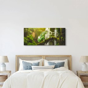 Obraz chameleóna (120x50 cm)