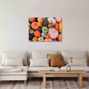 Obraz - Tekvica (70x50 cm)