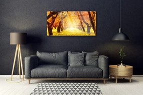 Skleneny obraz Les chodník stromy príroda 120x60 cm