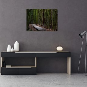 Sklenený obraz - Medzi bambusy (70x50 cm)