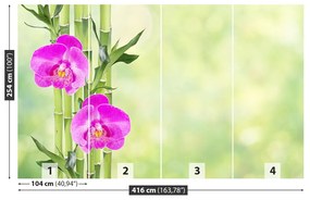 Fototapeta Vliesová Orchidea a bambus 250x104 cm